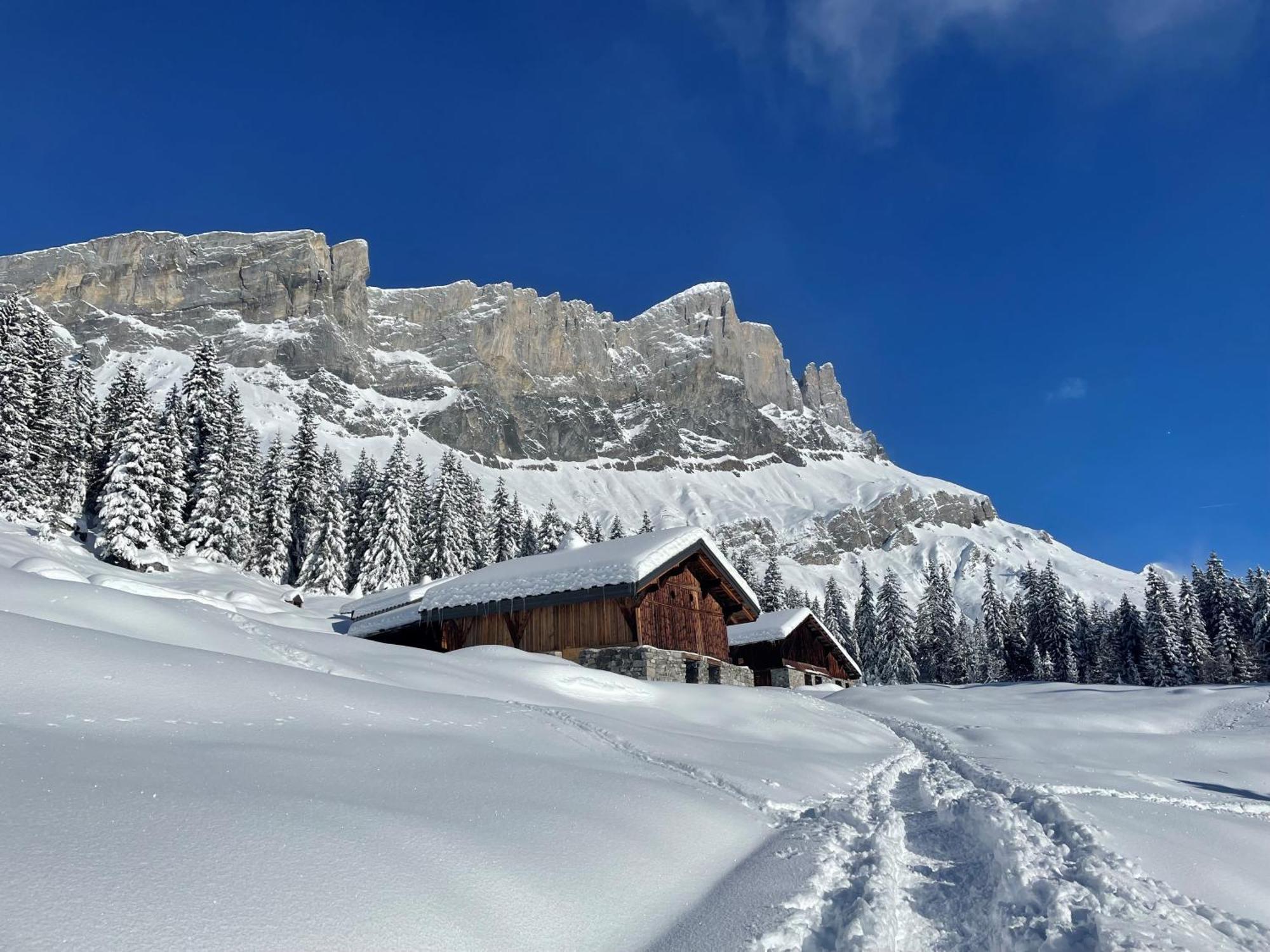 Chalet Du Grand Cerf Servoz Exterior photo